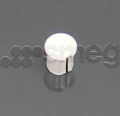 Smeg Cap - 768452695 Cap